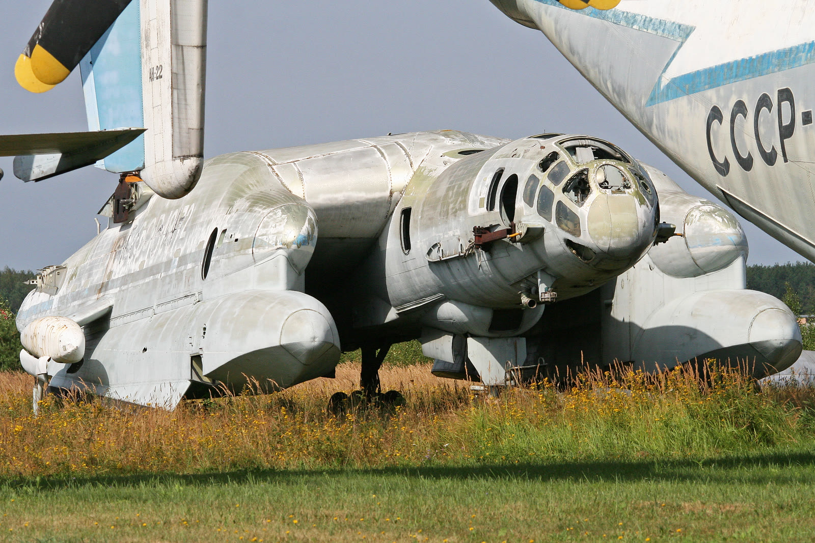 Bartini-Beriev VVA-14 (CCCP-19172) on display at the Central Air Force Museum, Monino, Russia